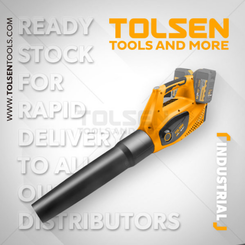 Tolsen 87340, 20V*2 Li-Ion Blower 800W BB